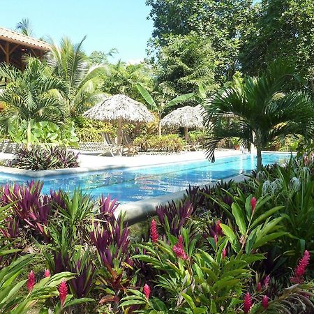 Bluff Beach Retreat Bocas del Toro Extérieur photo