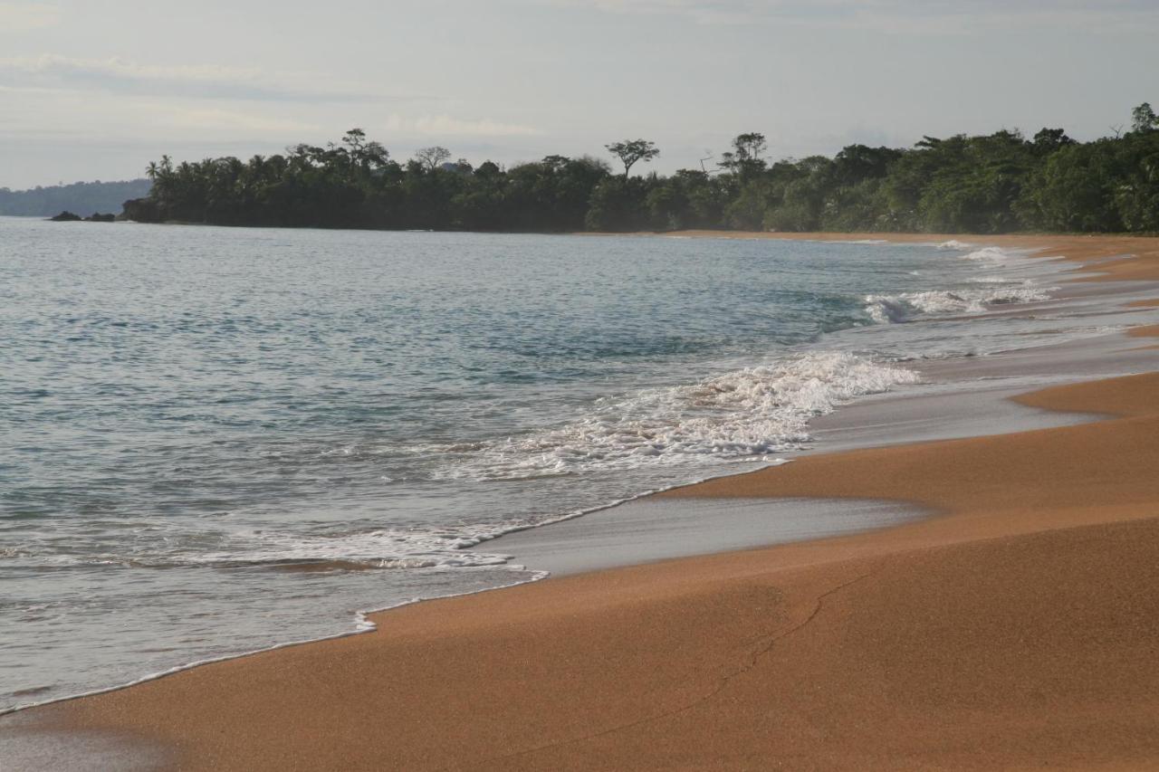 Bluff Beach Retreat Bocas del Toro Extérieur photo