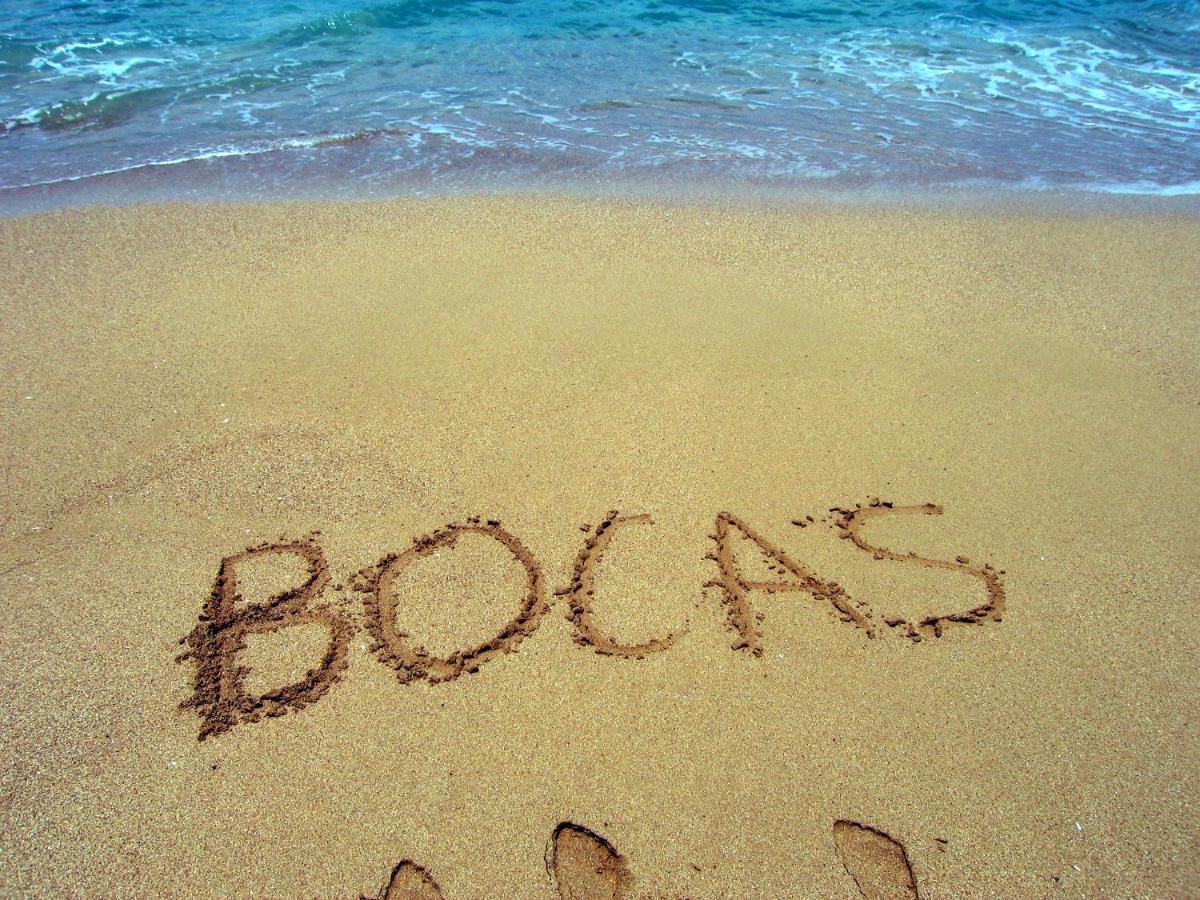 Bluff Beach Retreat Bocas del Toro Extérieur photo