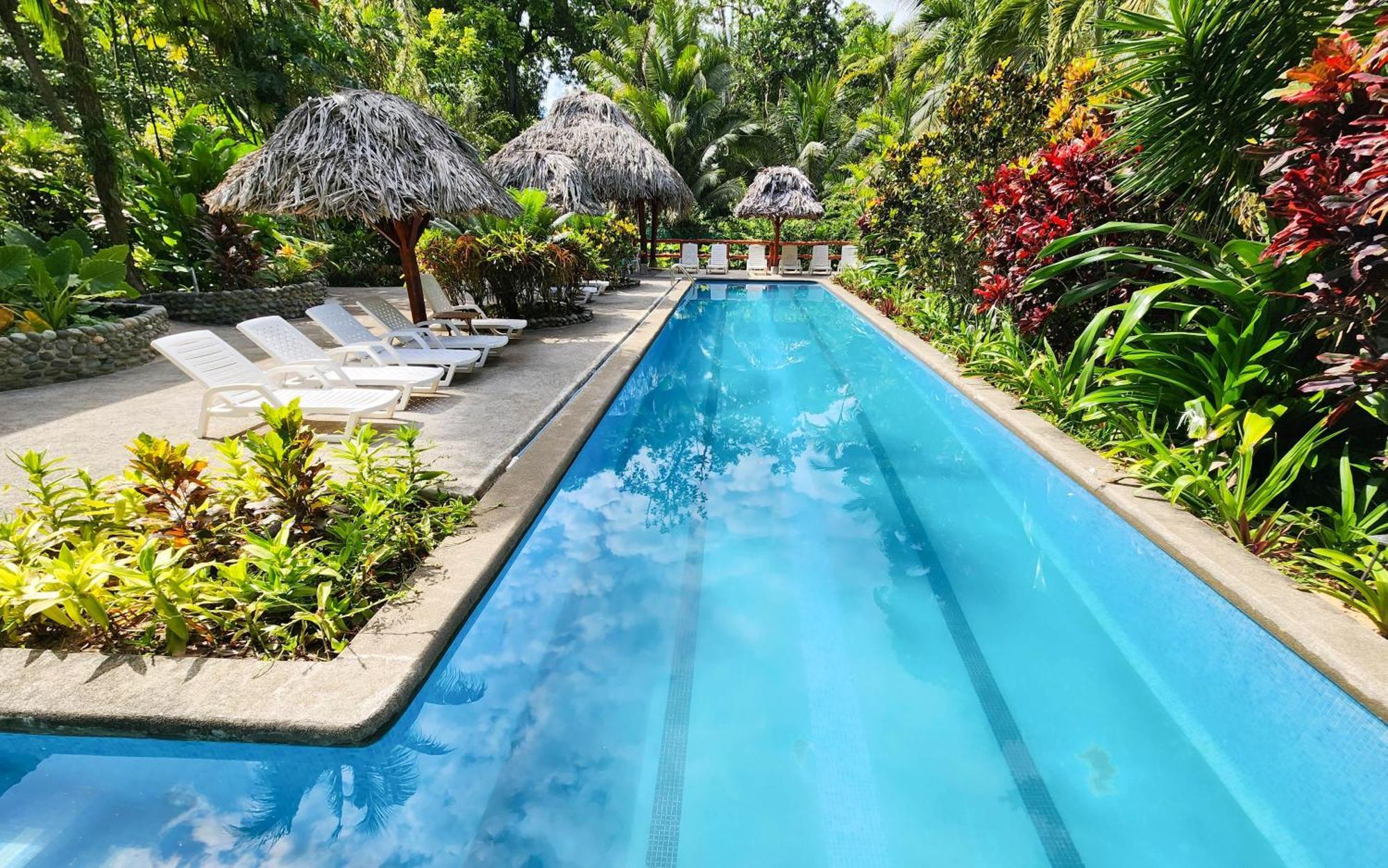 Bluff Beach Retreat Bocas del Toro Extérieur photo