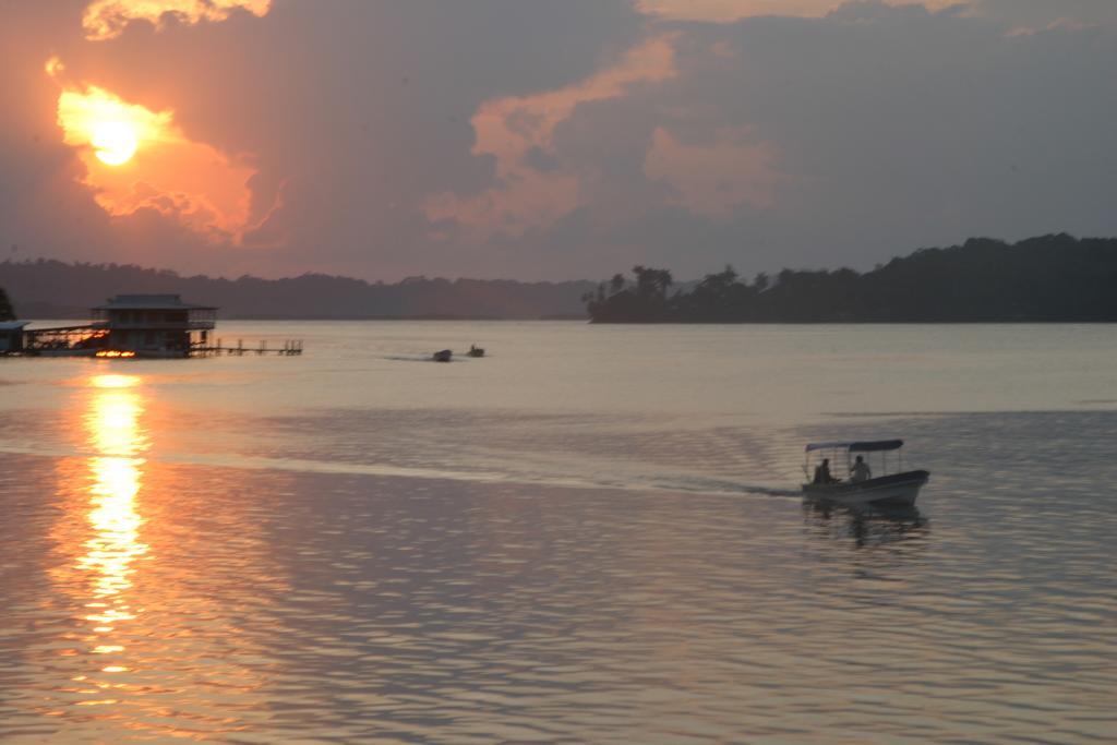 Bluff Beach Retreat Bocas del Toro Extérieur photo