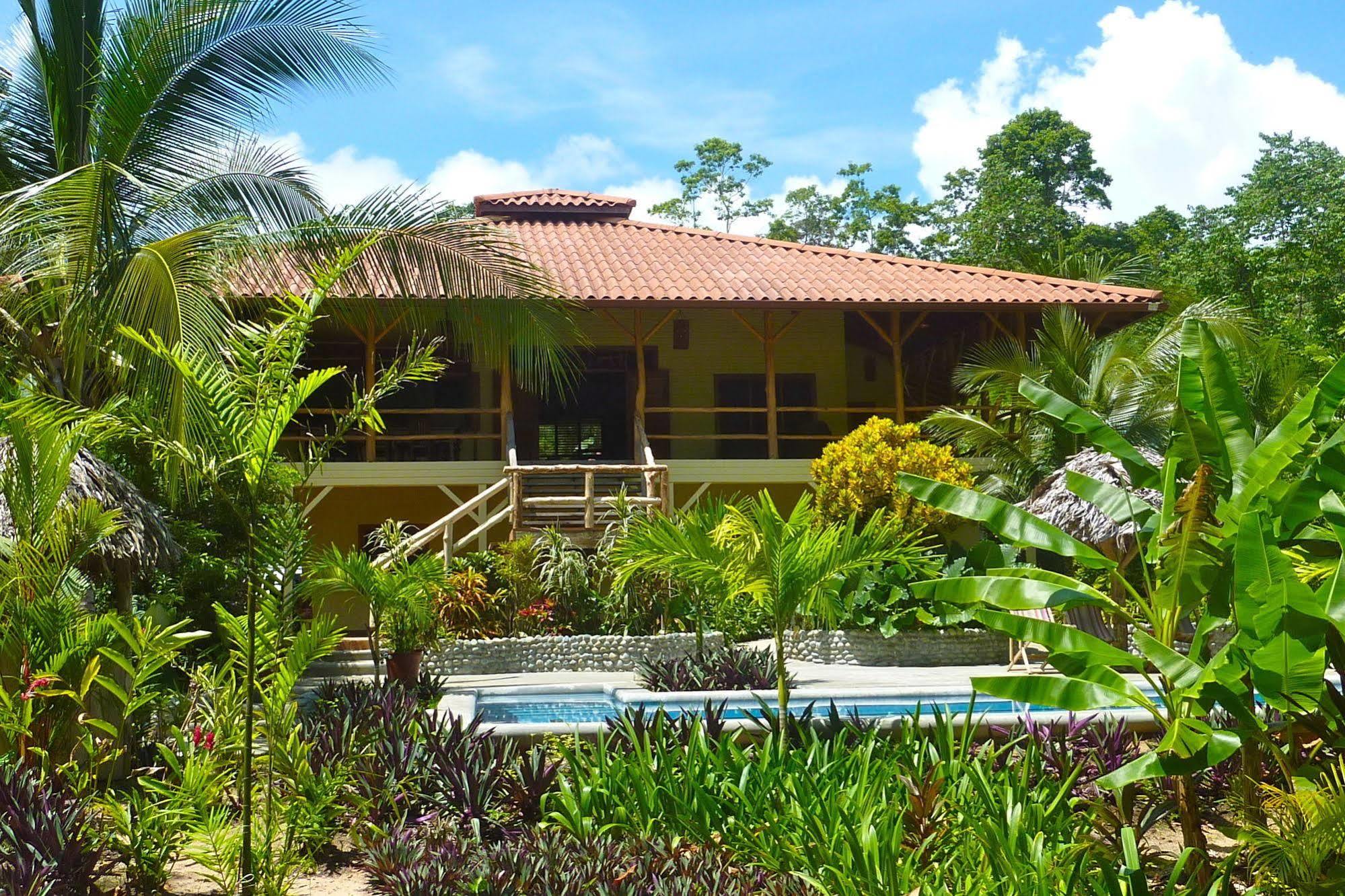Bluff Beach Retreat Bocas del Toro Extérieur photo
