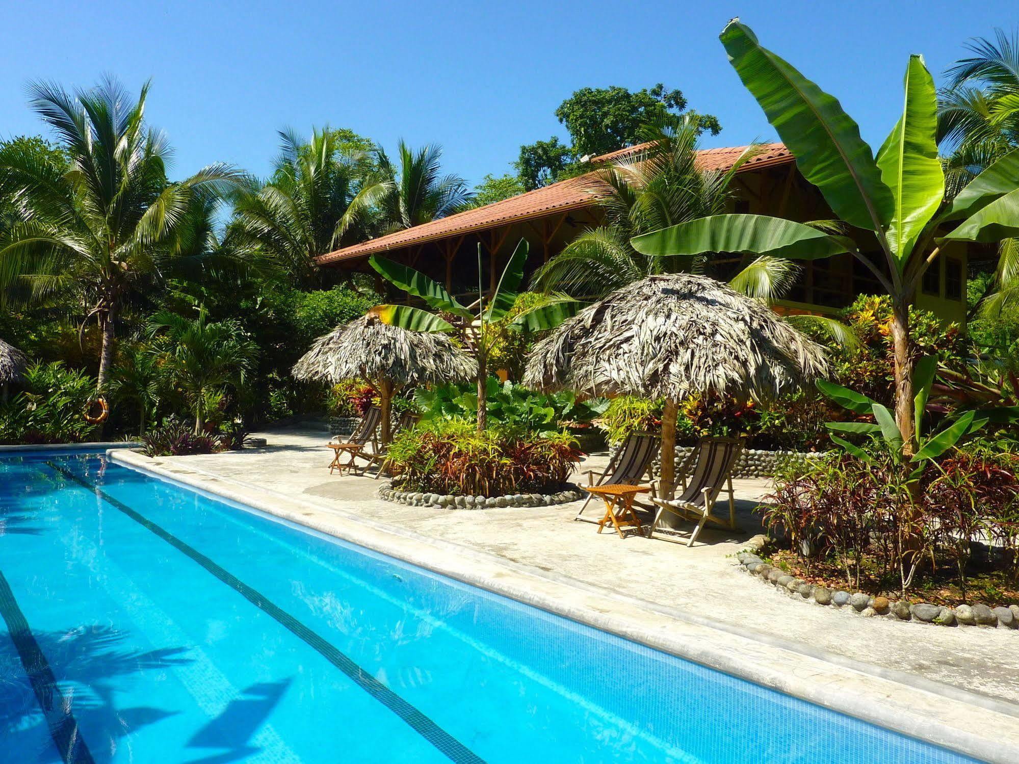 Bluff Beach Retreat Bocas del Toro Extérieur photo