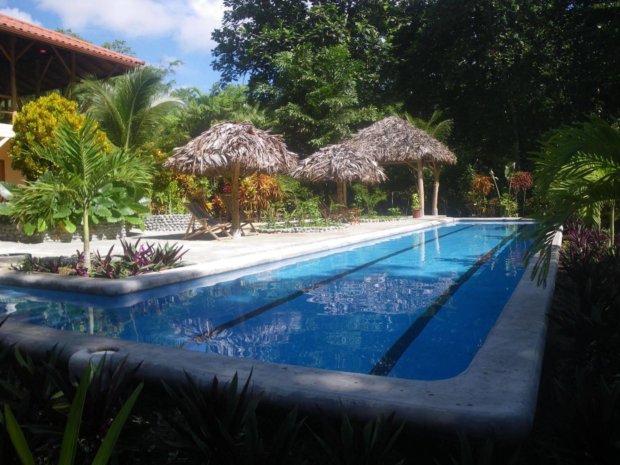 Bluff Beach Retreat Bocas del Toro Extérieur photo