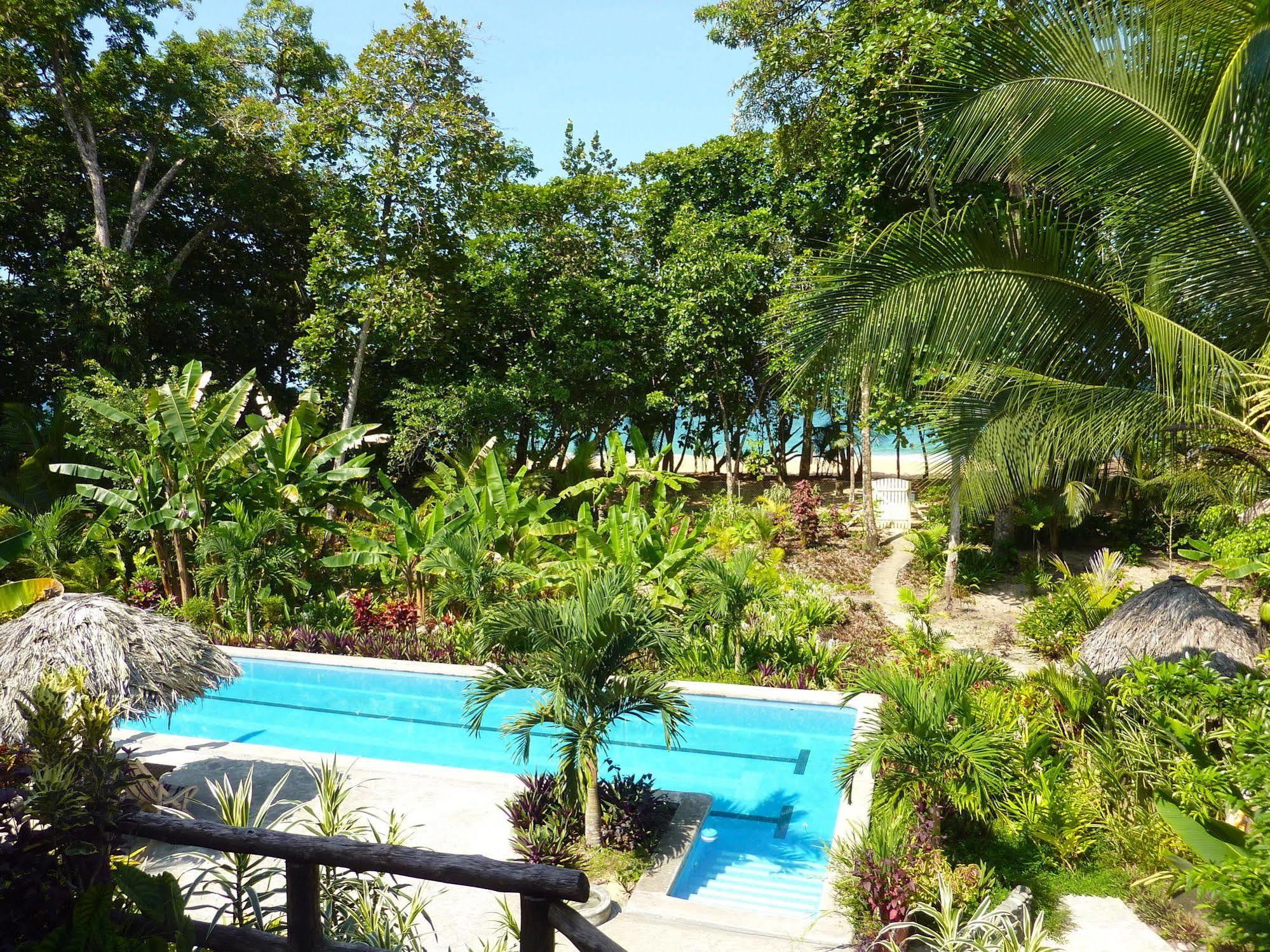 Bluff Beach Retreat Bocas del Toro Extérieur photo
