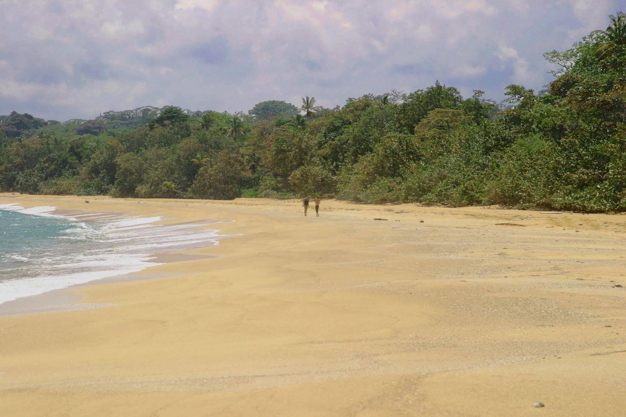 Bluff Beach Retreat Bocas del Toro Extérieur photo