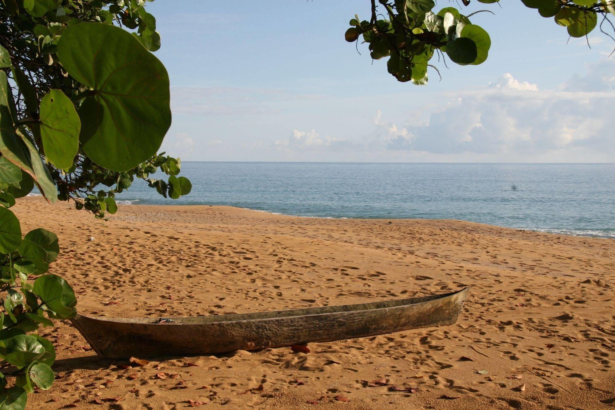 Bluff Beach Retreat Bocas del Toro Extérieur photo