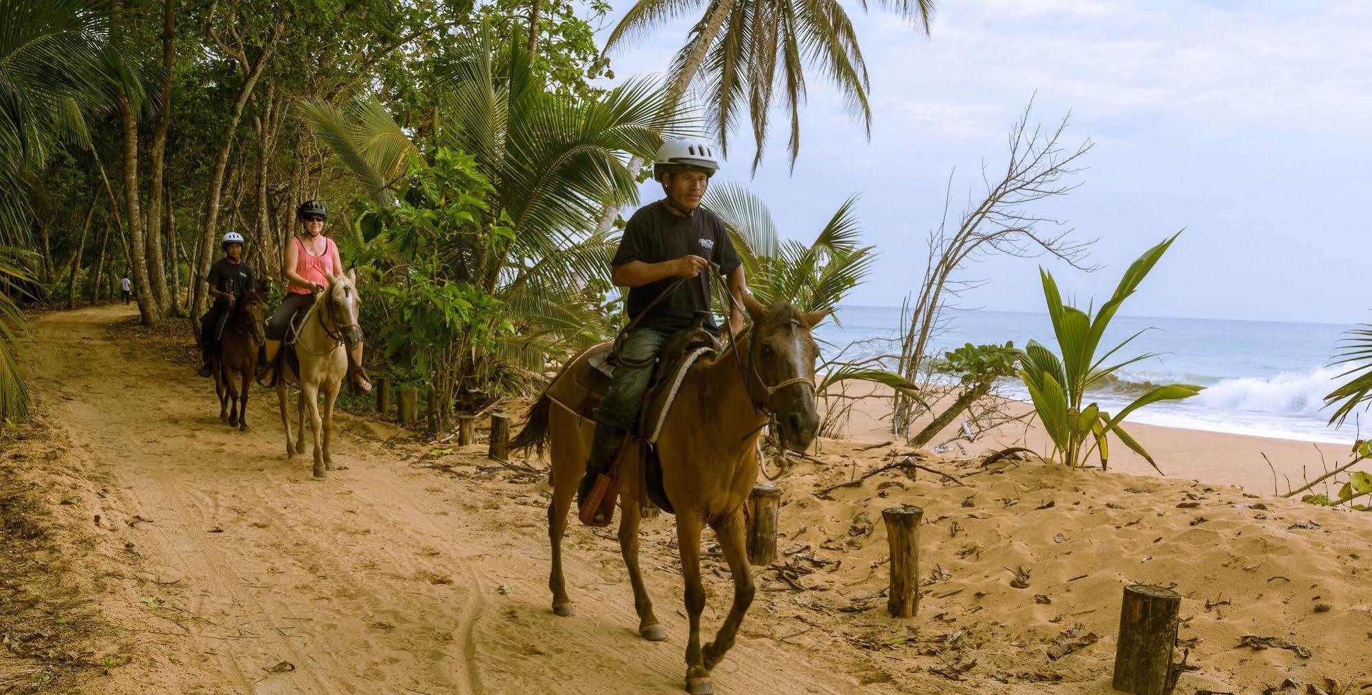 Bluff Beach Retreat Bocas del Toro Extérieur photo